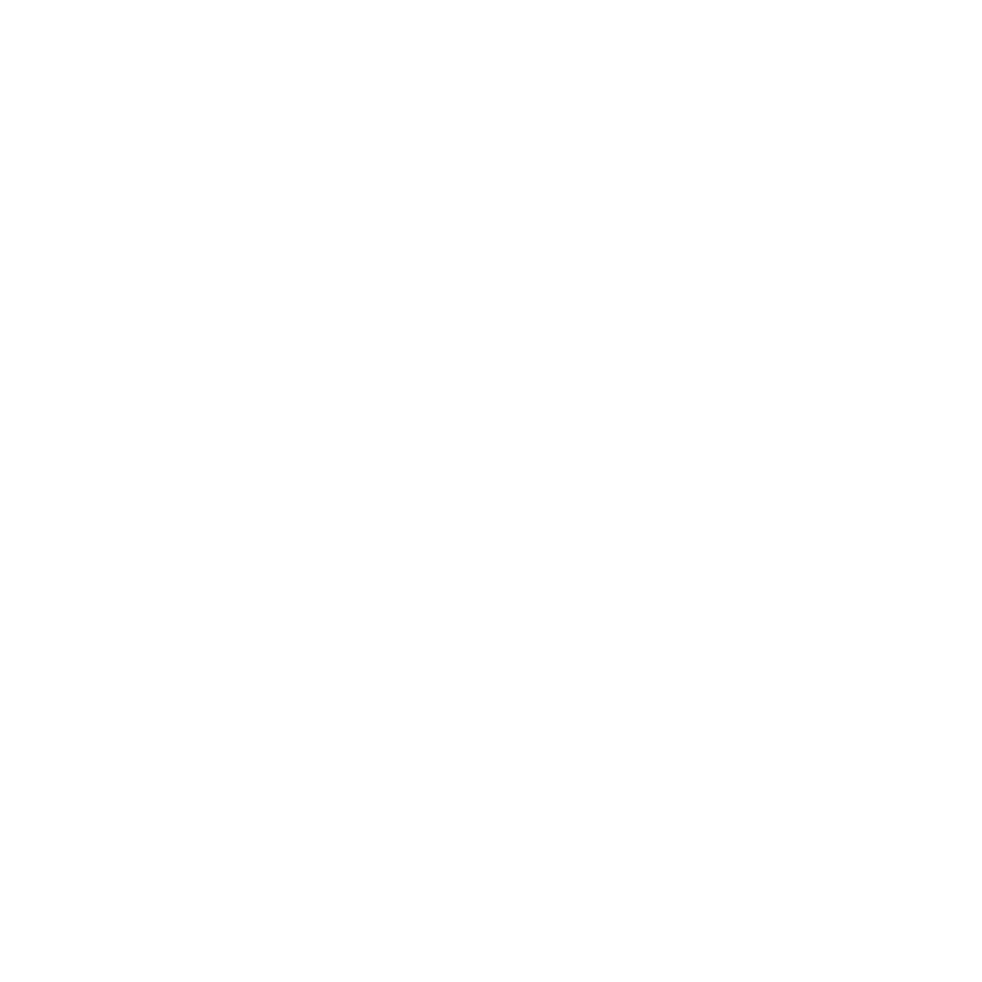 Fuegos