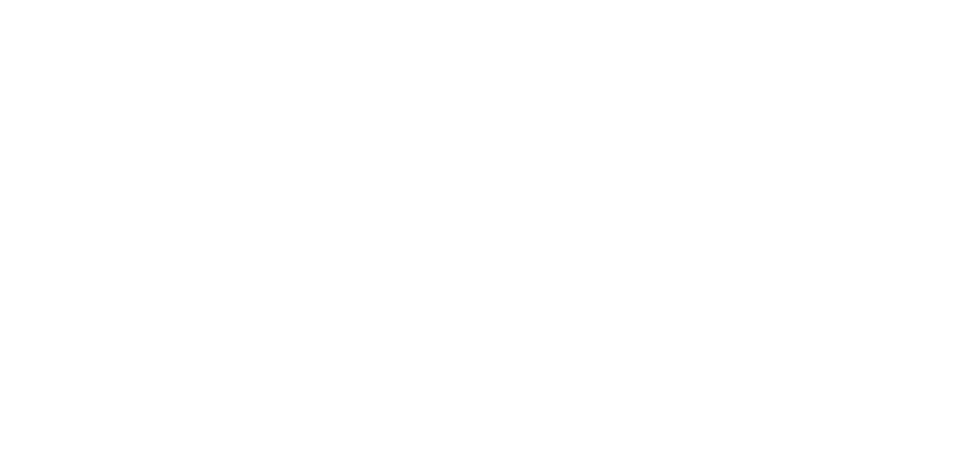 Flesh Studio